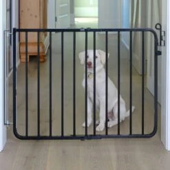 Cardinal Gates Auto-Lock Pet Gate -PetSafe Kong Shop 134769 PT4. AC SS1800 V1502392232