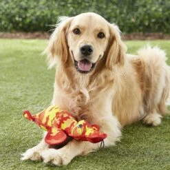 Petlou Land Warrior Platypus Dog Toy 7 Petlou Land Warrior Platypus Dog Toy -PetSafe Kong Shop 134998 PT2. AC SS1800 V1530550506
