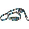 Country Brook Design Tie-Dye Flowers Polyester Martingale Dog Collar & Leash