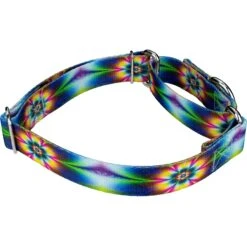 Country Brook Design Tie-Dye Flowers Polyester Martingale Dog Collar & Leash -PetSafe Kong Shop 135035 PT3. AC SS1800 V1628306228
