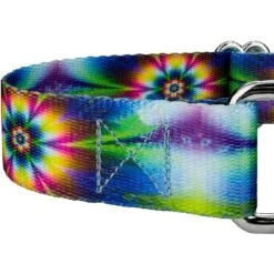 Country Brook Design Tie-Dye Flowers Polyester Martingale Dog Collar & Leash -PetSafe Kong Shop 135035 PT4. AC SS1800 V1628304109