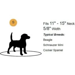 Country Brook Design Tie-Dye Flowers Polyester Martingale Dog Collar & Leash -PetSafe Kong Shop 135035 PT8. AC SS1800 V1510600673