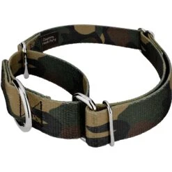 Country Brook Design Woodland Camo Polyester Martingale Dog Collar & Leash -PetSafe Kong Shop 135042 PT2. AC SS1800 V1628305597