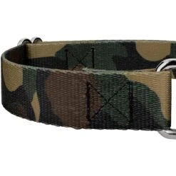 Country Brook Design Woodland Camo Polyester Martingale Dog Collar & Leash -PetSafe Kong Shop 135042 PT4. AC SS1800 V1628306521