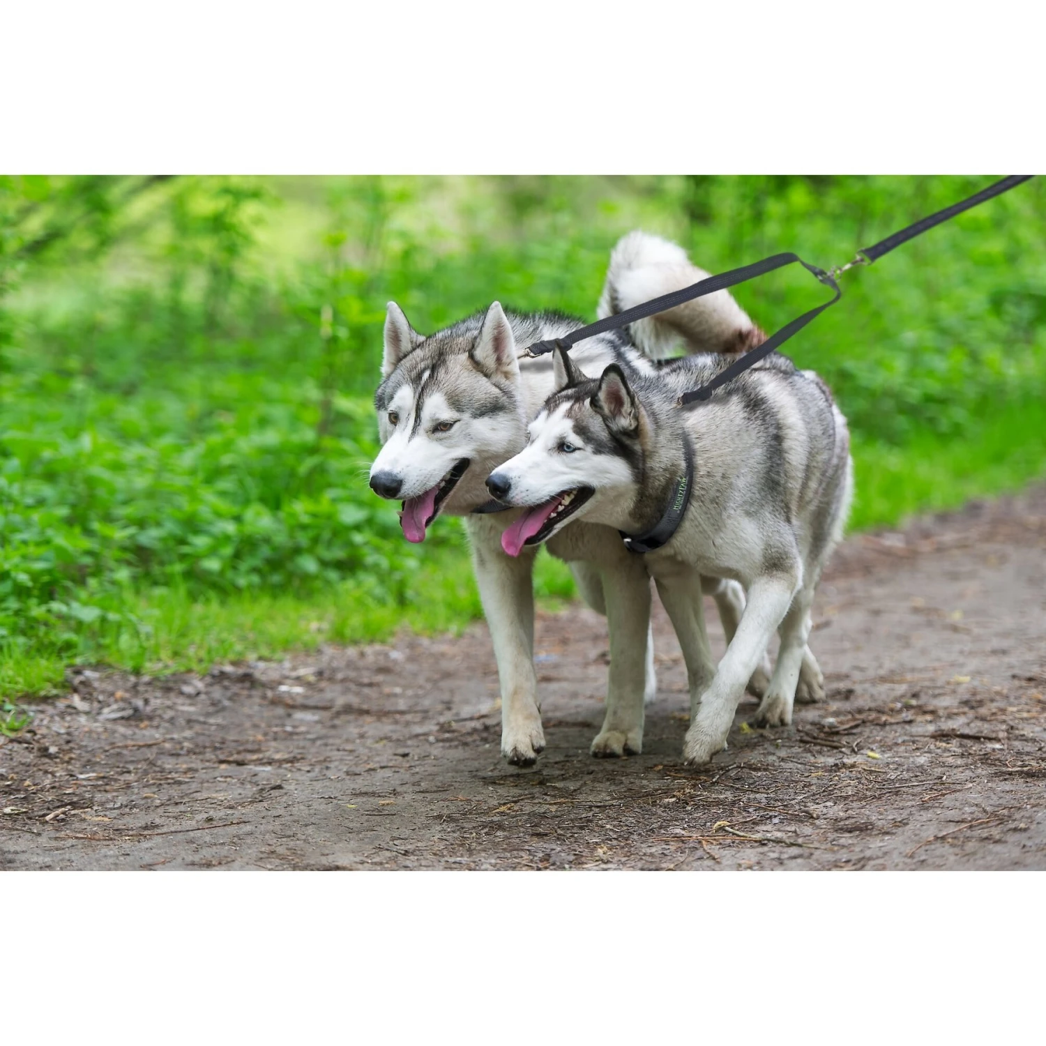 Mighty Paw Nylon Reflective Double Dog Leash 4 Mighty Paw Nylon Reflective Double Dog Leash - Image 4