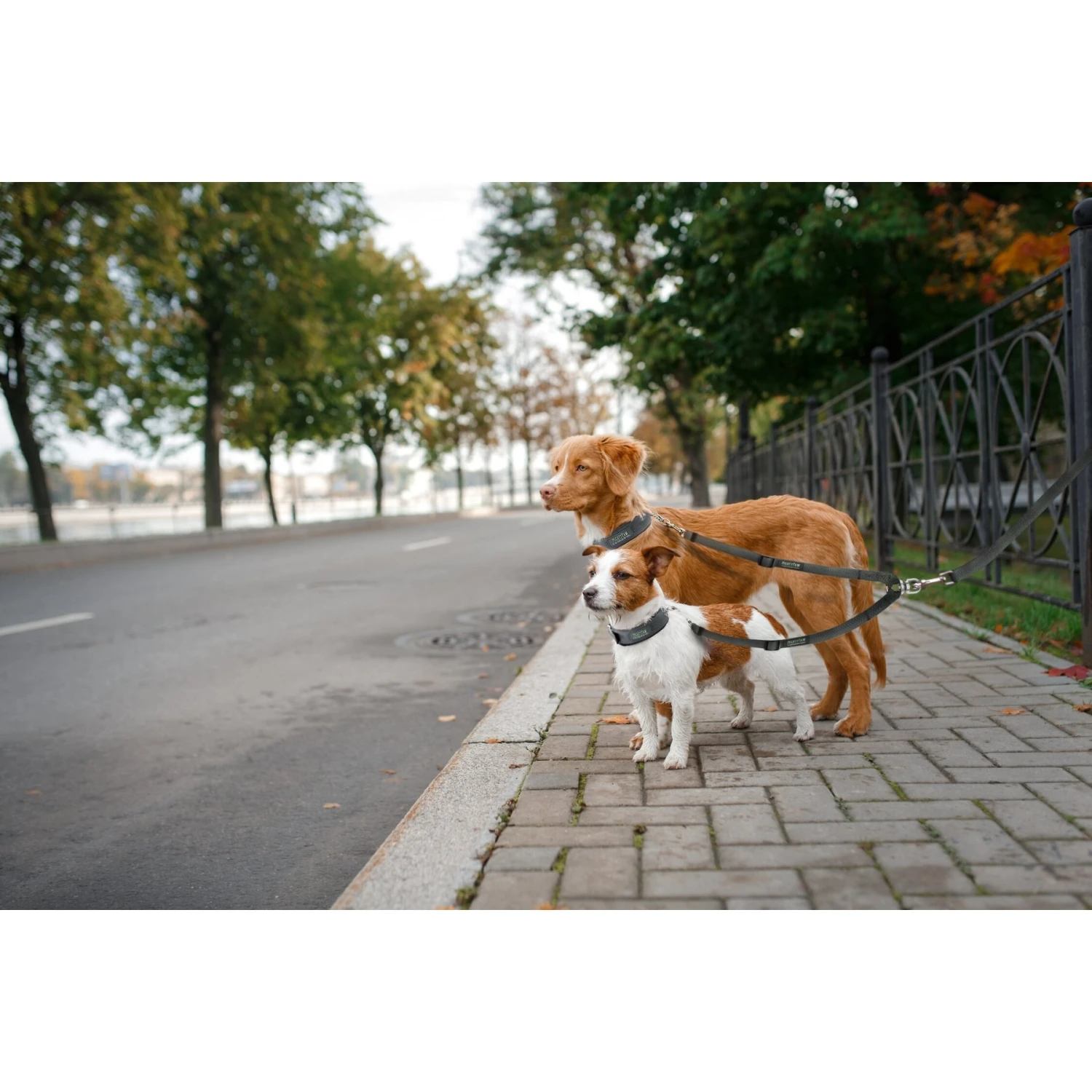 Mighty Paw Nylon Reflective Double Dog Leash 5 Mighty Paw Nylon Reflective Double Dog Leash - Image 5