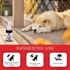 Warren London Essential Oil Calming Spray For Dogs -PetSafe Kong Shop 135712 PT3. AC SS1800 V1657655415