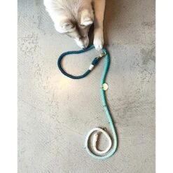 Found My Animal Adjustable Ombre Rope Dog Leash -PetSafe Kong Shop 135867 PT5. AC SS1800 V1507145686
