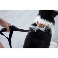 Leashboss Original Heavy Duty Two Handle No Pull Double Dog Leash 8 Leashboss Original Heavy Duty Two Handle No Pull Double Dog Leash -PetSafe Kong Shop 136727 PT2. AC SS1800 V1504019442