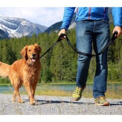 Leashboss Original Heavy Duty Two Handle No Pull Double Dog Leash 9 Leashboss Original Heavy Duty Two Handle No Pull Double Dog Leash -PetSafe Kong Shop 136727 PT3. AC SS1800 V1504019444