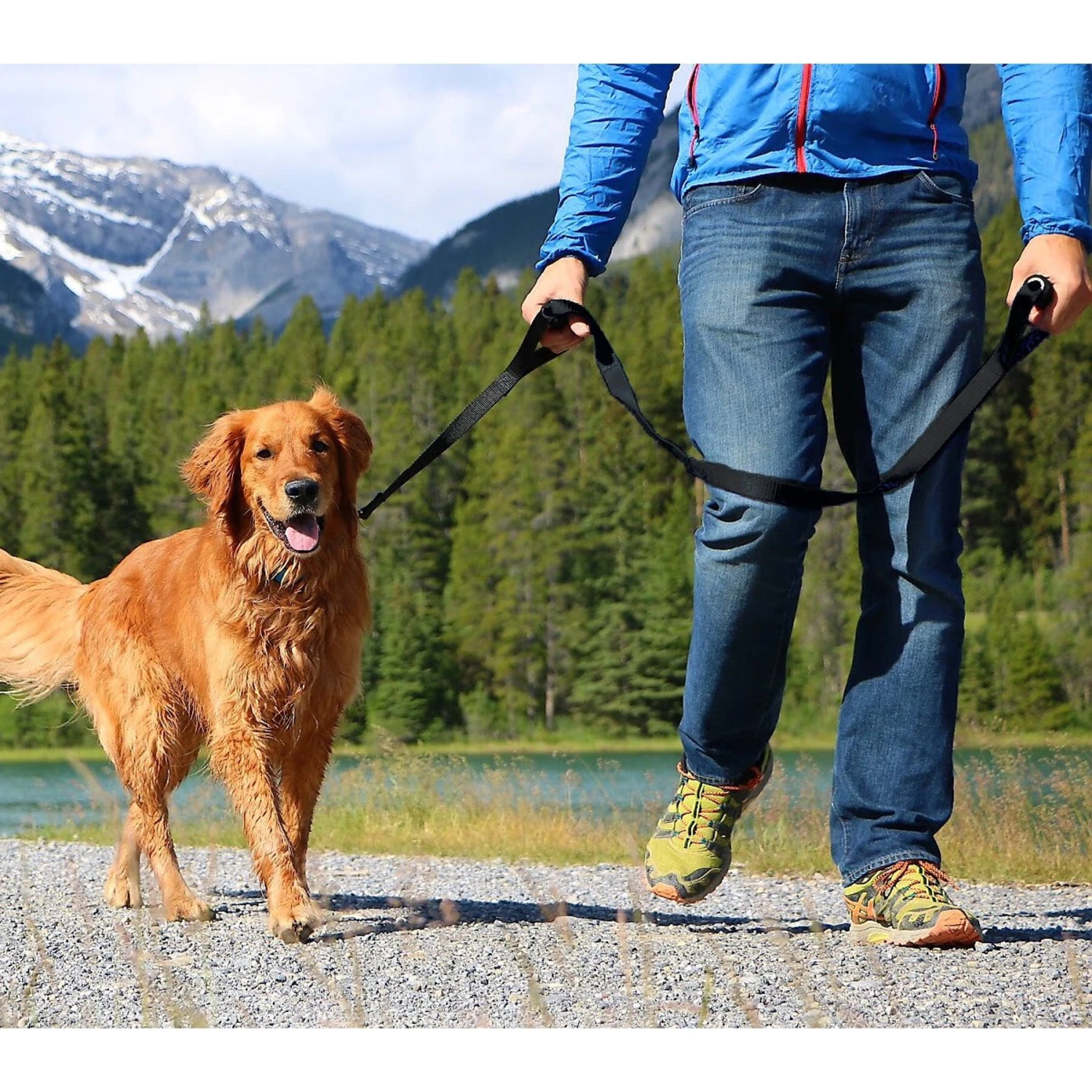 Leashboss Original Heavy Duty Two Handle No Pull Double Dog Leash 4 Leashboss Original Heavy Duty Two Handle No Pull Double Dog Leash - Image 4