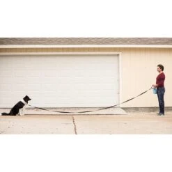 Leashboss Padded Handle Long Dog Leash 9 Leashboss Padded Handle Long Dog Leash -PetSafe Kong Shop 136731 PT3. AC SS1800 V1677525100
