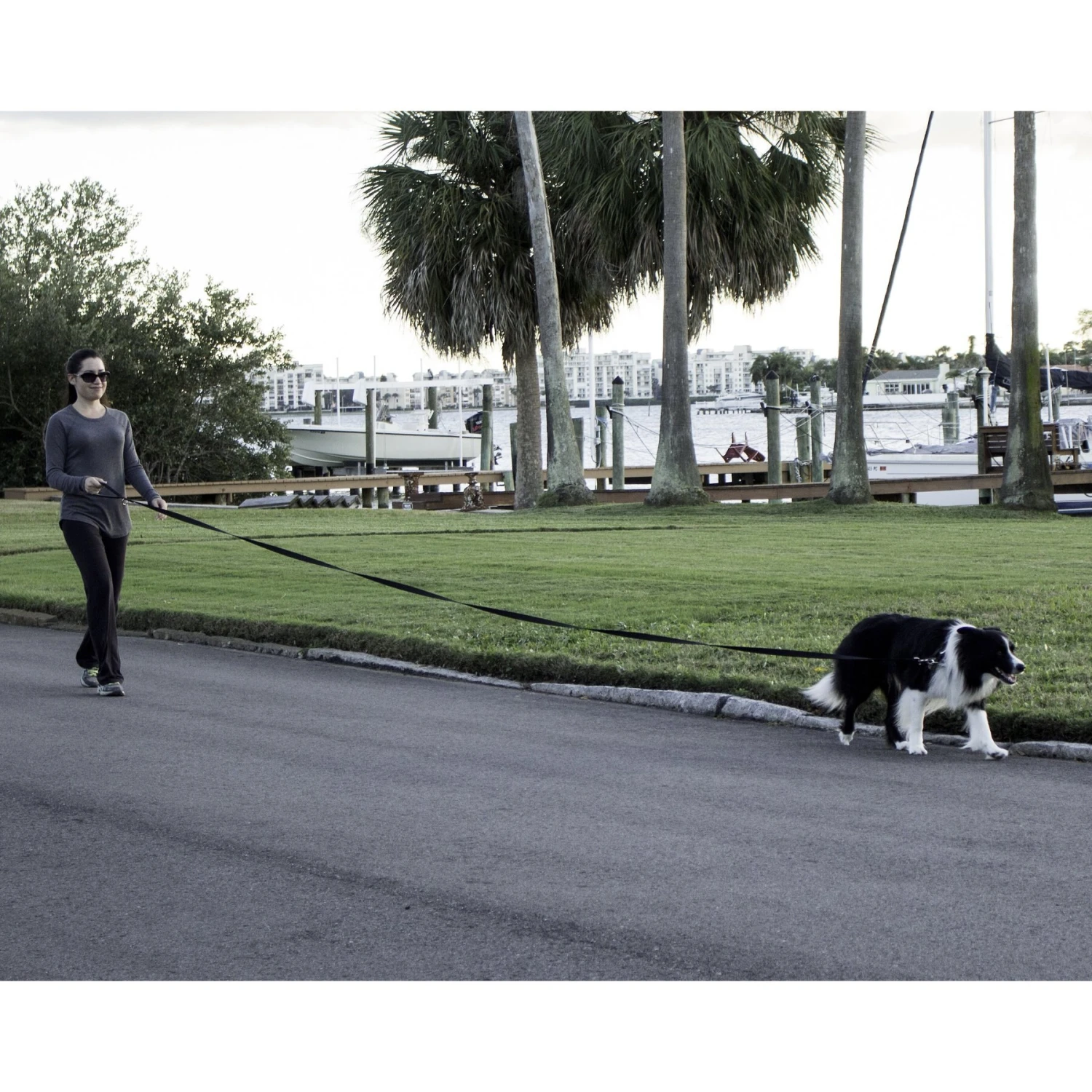 Leashboss Padded Handle Long Dog Leash 6 Leashboss Padded Handle Long Dog Leash - Image 6