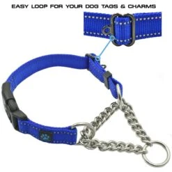 Max And Neo Dog Gear Nylon Reflective Martingale Dog Collar With Chain -PetSafe Kong Shop 137051 PT2. AC SS1800 V1600737116