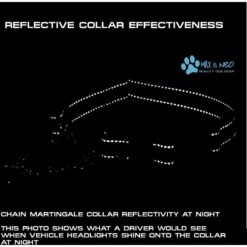 Max And Neo Dog Gear Nylon Reflective Martingale Dog Collar With Chain -PetSafe Kong Shop 137051 PT3. AC SS1800 V1600729885