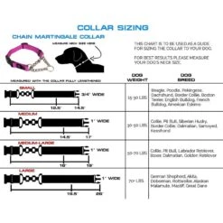 Max And Neo Dog Gear Nylon Reflective Martingale Dog Collar With Chain -PetSafe Kong Shop 137051 PT4. AC SS1800 V1504728296