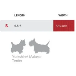 Red Dingo Classic Multi Purpose Nylon Hands-Free Running Dog Leash -PetSafe Kong Shop 138591 PT3. AC SS1800 V1685987995