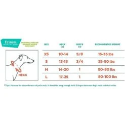 Frisco Solid Nylon Slip-On Martingale Dog Collar 6 Frisco Solid Nylon Slip-On Martingale Dog Collar -PetSafe Kong Shop 139181 PT1. AC SS1800 V1620068233