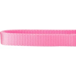 Frisco Solid Nylon Slip-On Martingale Dog Collar 8 Frisco Solid Nylon Slip-On Martingale Dog Collar -PetSafe Kong Shop 139181 PT3. AC SS1800 V1620069443