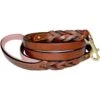 Soft Touch Collars Leather Braided Two-Tone Handle Dog Leash