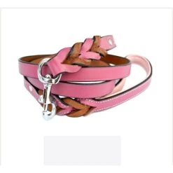Soft Touch Collars Leather Braided Two-Tone Dog Leash