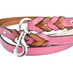 Soft Touch Collars Leather Braided Two-Tone Dog Leash 11 Soft Touch Collars Leather Braided Two-Tone Dog Leash -PetSafe Kong Shop 139745 PT4. AC SS1800 V1508447015