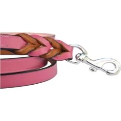 Soft Touch Collars Leather Braided Two-Tone Dog Leash 12 Soft Touch Collars Leather Braided Two-Tone Dog Leash -PetSafe Kong Shop 139745 PT5. AC SS1800 V1508447016