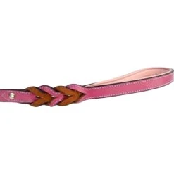 Soft Touch Collars Leather Braided Two-Tone Dog Leash 13 Soft Touch Collars Leather Braided Two-Tone Dog Leash -PetSafe Kong Shop 139745 PT6. AC SS1800 V1508447016