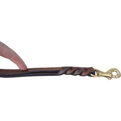 Soft Touch Collars Leather Braided Traffic Handle Dog Leash -PetSafe Kong Shop 139758 PT3. AC SS1800 V1508446953
