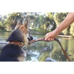 Soft Touch Collars Leather Braided Traffic Handle Dog Leash -PetSafe Kong Shop 139758 PT6. AC SS1800 V1508446958