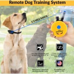 Educator By E-Collar Technologies Mini 1/2 Mile Range Remote Waterproof Dog Training Collar -PetSafe Kong Shop 139852 PT2. AC SS1800 V1595884862