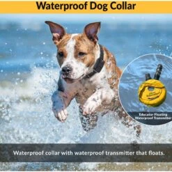 Educator By E-Collar Technologies Mini 1/2 Mile Range Remote Waterproof Dog Training Collar -PetSafe Kong Shop 139852 PT4. AC SS1800 V1595893562