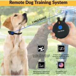 Educator By E-Collar Technologies The Boss 1 Mile Range Waterproof Dog Training Collar -PetSafe Kong Shop 139861 PT2. AC SS1800 V1627312011