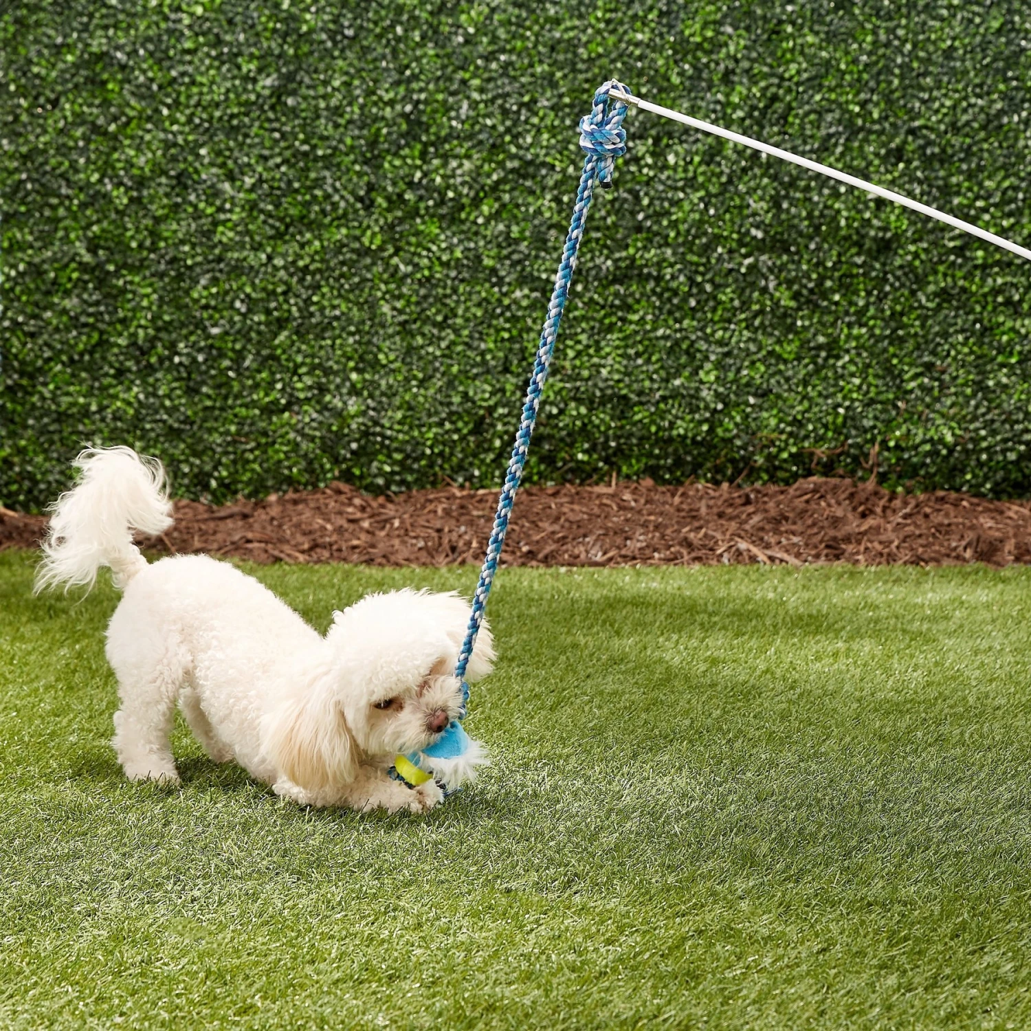 Pet Fit For Life Plush Wand Squeaky Dog Toy 3 Pet Fit For Life Plush Wand Squeaky Dog Toy - Image 3