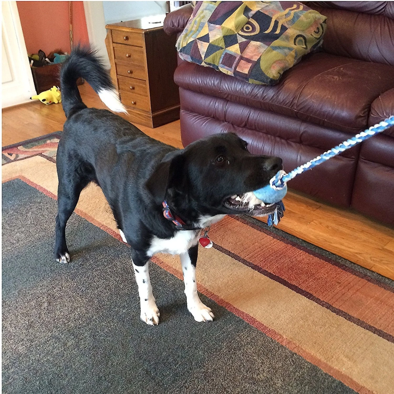 Pet Fit For Life Plush Wand Squeaky Dog Toy 5 Pet Fit For Life Plush Wand Squeaky Dog Toy - Image 5