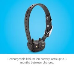 Garmin BarkLimiter Deluxe Dog Training Collar -PetSafe Kong Shop 140104 PT4. AC SS1800 V1657655539