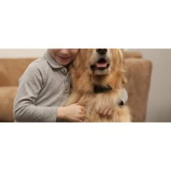 Garmin BarkLimiter Deluxe Dog Training Collar -PetSafe Kong Shop 140104 PT8. AC SS1800 V1657655539