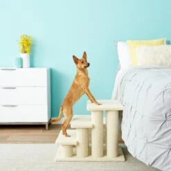 Frisco 18.5 Or 24.5 Inch 2-in-1 Cat & Dog Stairs -PetSafe Kong Shop 140154 PT6. AC SS1800 V1584453442