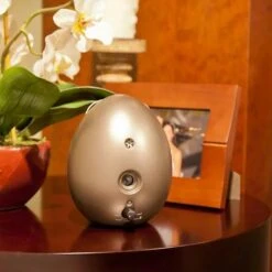 Sunbeam Sonic Egg Ultrasonic Bark Control Device 14 Sunbeam Sonic Egg Ultrasonic Bark Control Device -PetSafe Kong Shop 140471 PT6. AC SS1800 V1509571631