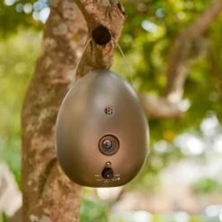 Sunbeam Sonic Egg Ultrasonic Bark Control Device 15 Sunbeam Sonic Egg Ultrasonic Bark Control Device -PetSafe Kong Shop 140471 PT7. AC SS1800 V1509571631