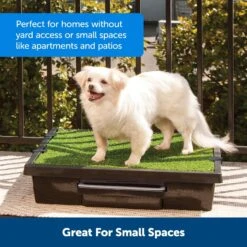 PetSafe Pet Loo Portable Indoor & Outdoor Dog Potty 12 PetSafe Pet Loo Portable Indoor & Outdoor Dog Potty -PetSafe Kong Shop 140649 PT3. AC SS1800 V1660771974