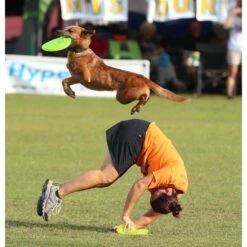 Hyperflite Jawz Disc -PetSafe Kong Shop 140803 PT4. AC SS1800 V1518451857