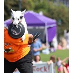 Hyperflite Jawz Disc -PetSafe Kong Shop 140803 PT5. AC SS1800 V1523643088