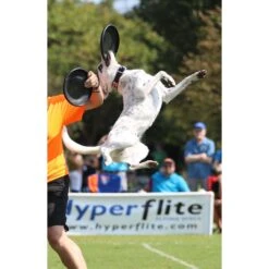 Hyperflite Jawz Disc -PetSafe Kong Shop 140803 PT6. AC SS1800 V1523642994