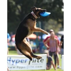 Hyperflite Jawz Disc -PetSafe Kong Shop 140803 PT7. AC SS1800 V1523643106