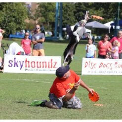 Hyperflite Jawz X-Comp Disc, Orange -PetSafe Kong Shop 140811 PT3. AC SS1800 V1518451942