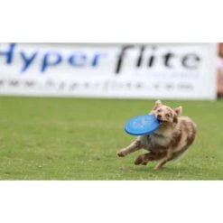 Hyperflite Jawz Pup Disc -PetSafe Kong Shop 140814 PT4. AC SS1800 V1518451960
