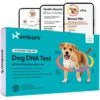 Embark Breed Identification & Health Condition Identification DNA Test For Dogs