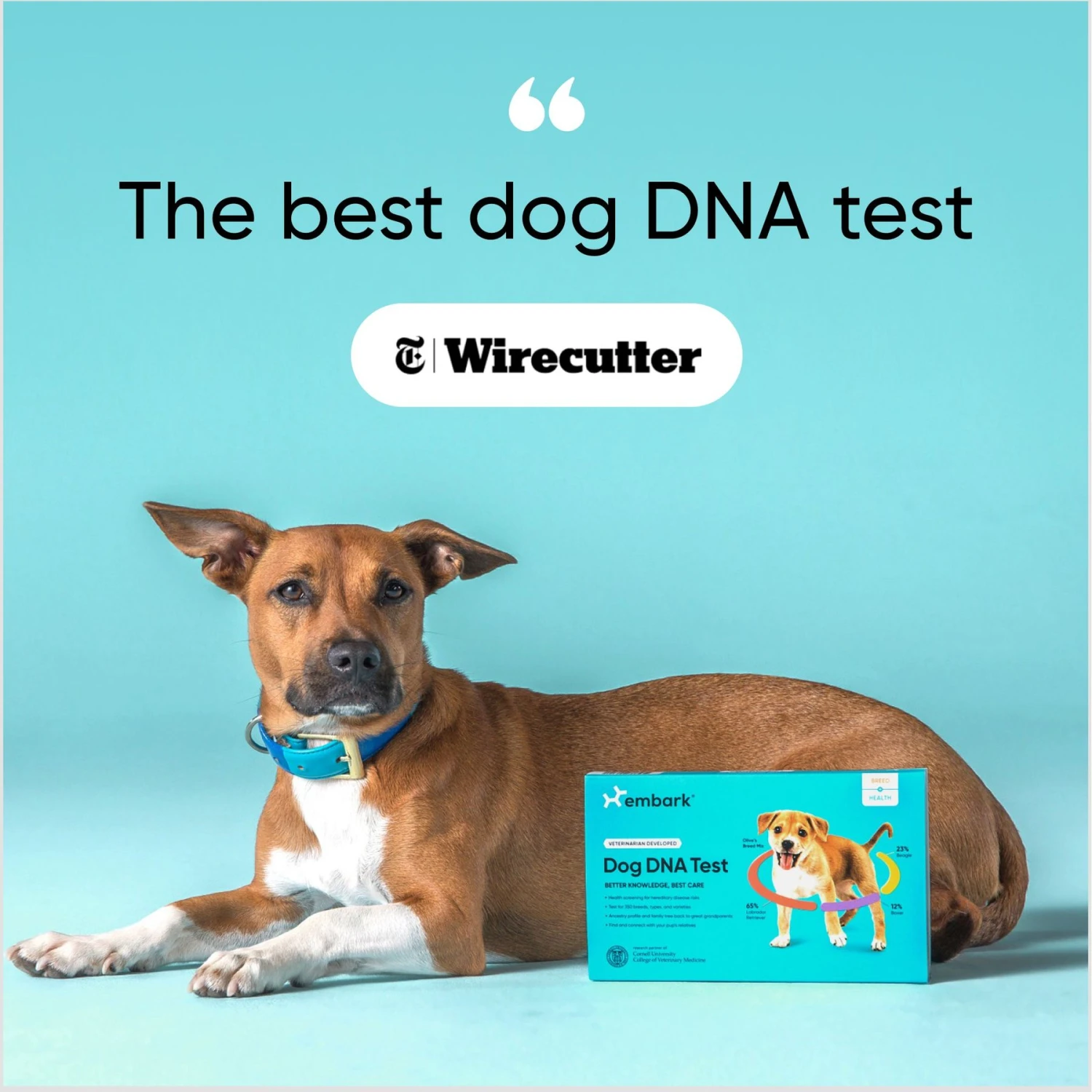 Embark Breed Identification & Health Condition Identification DNA Test For Dogs 8 Embark Breed Identification & Health Condition Identification DNA Test For Dogs - Image 8