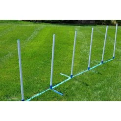 Cool Runners Agility Dog Training Weave Poles -PetSafe Kong Shop 141157 PT2. AC SS1800 V1517528208
